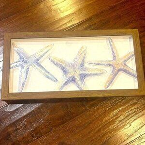 Starfish Wall Art